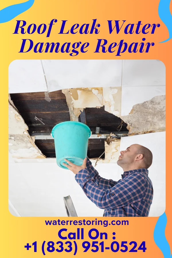 Roof Leak Water Damage Repair in Canfield, OH