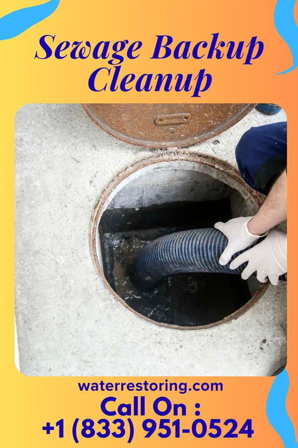 Sewage Backup Cleanup in Canfield, OH