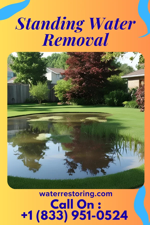 Standing Water Removal in Canfield, OH